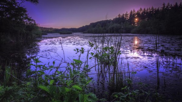 река ночь