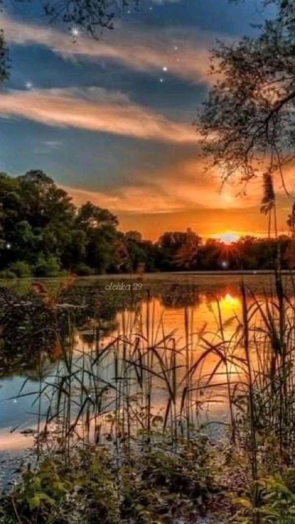 вечерние пейзажи