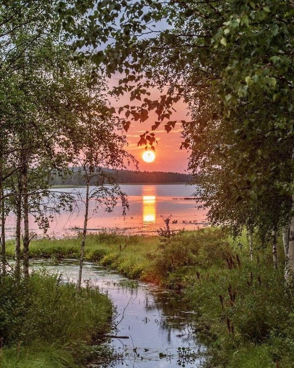 красота русской природы