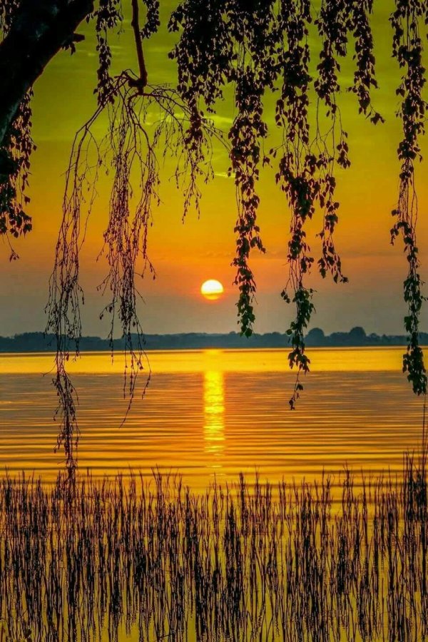 теплого летнего вечера