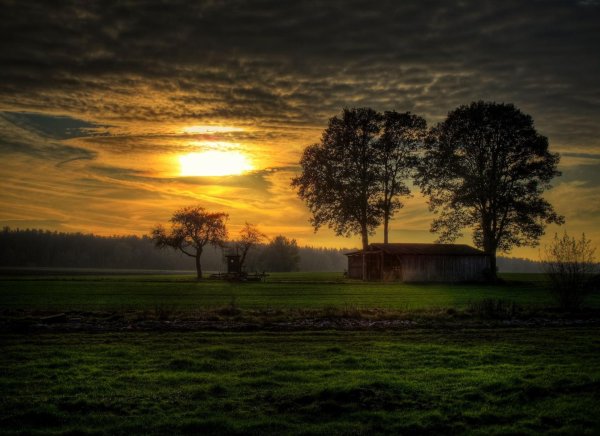 красивые закаты в деревне