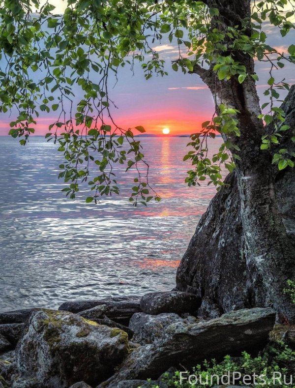 летнего вечера