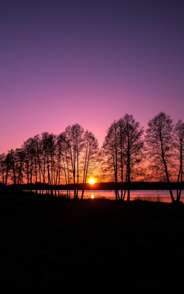 вечерние пейзажи