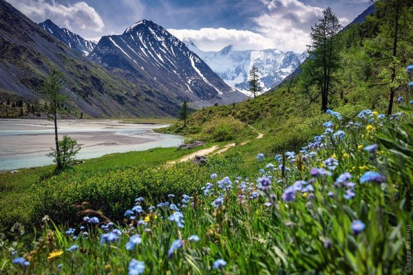 природа горного алтая