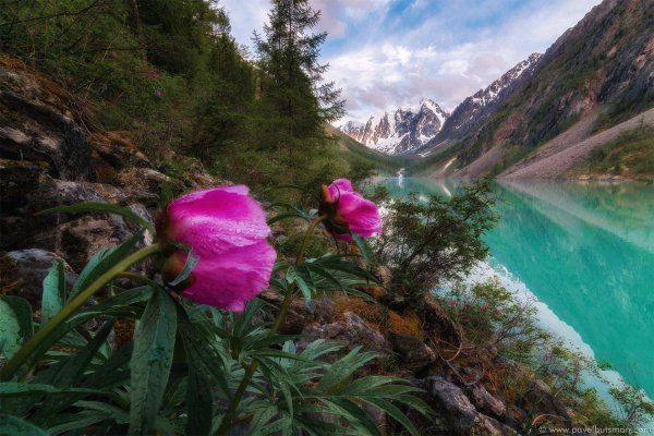 шавлинские озера