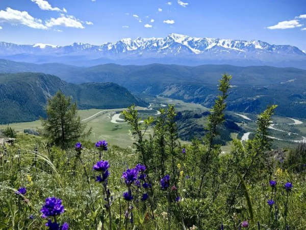 горы хакасии саяны