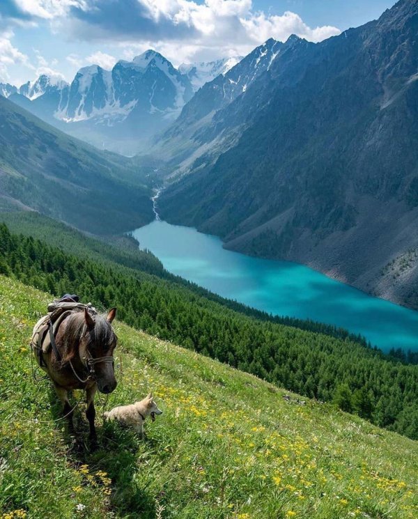 озеро шавло алтай