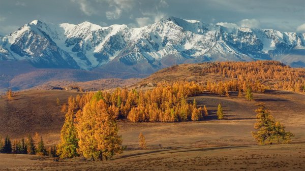 курайская степь чуйский тракт