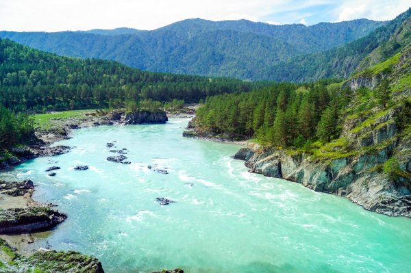 чемал и катунь слияние