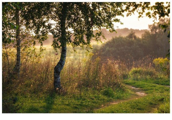августовский пейзаж