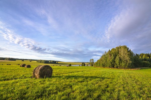 агротуризмсельский туризм россии