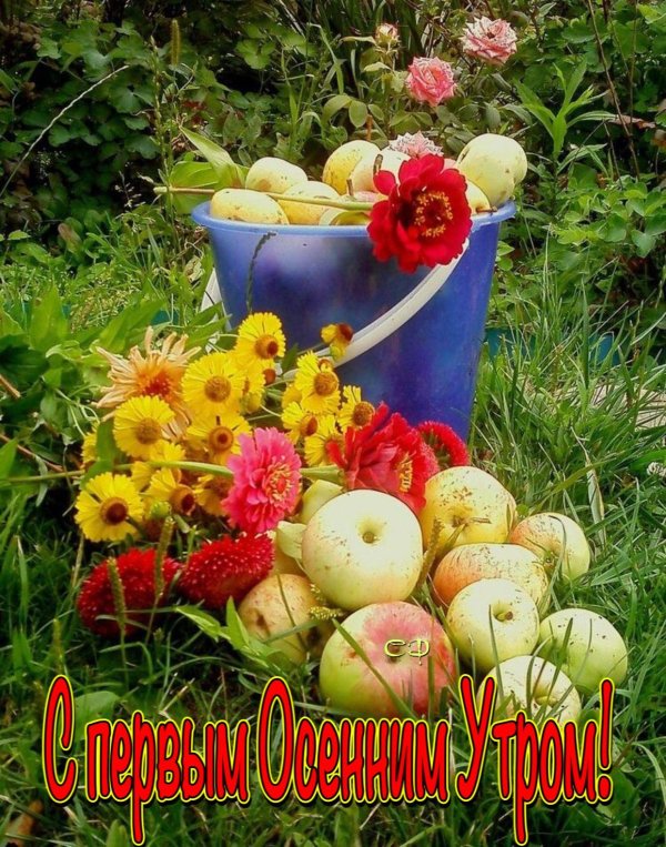 августовское утро