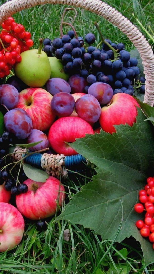 осенние фрукты