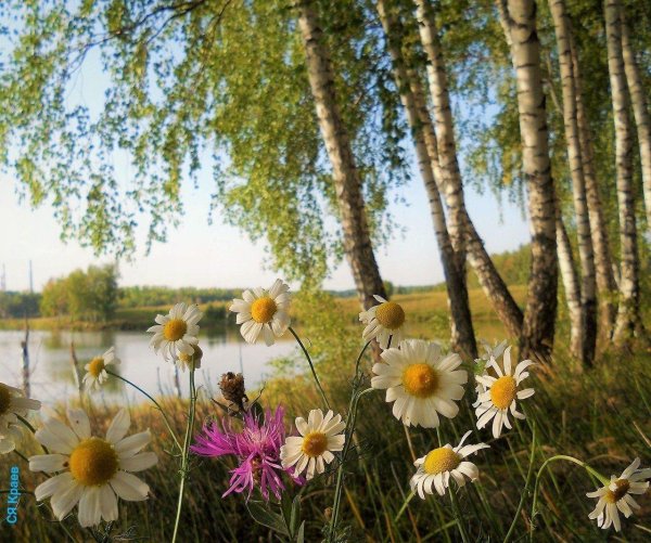 фотопейзажи сергея краева