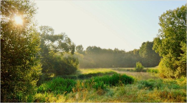 утренние пейзажи