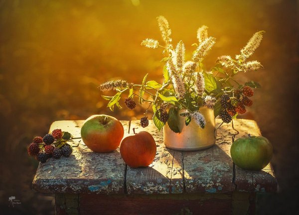 натюрморт осенний