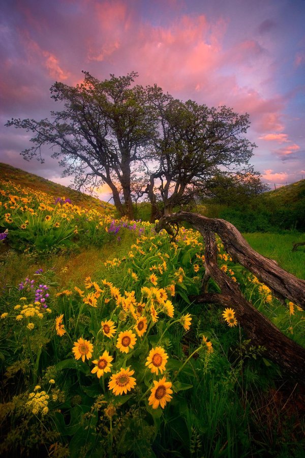 красивейшие пейзажи