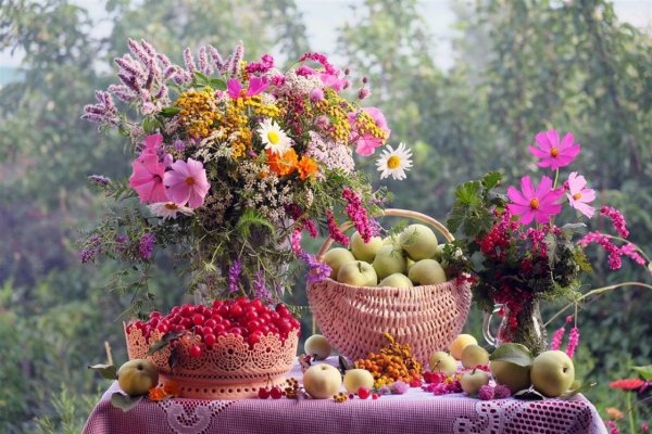 натюрморт дары лета