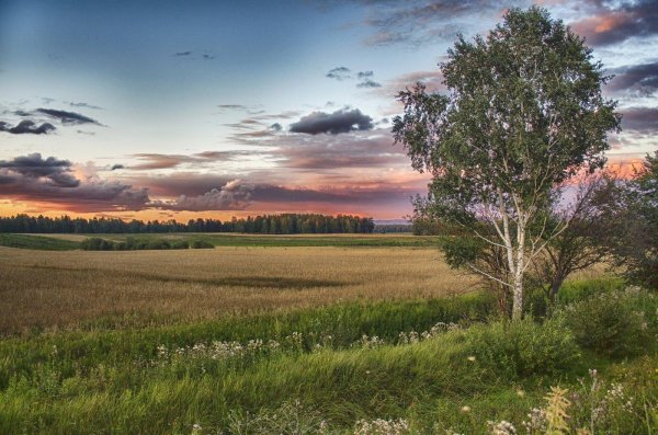 пейзажи русской природы