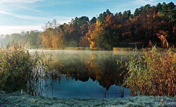 осенний пейзаж