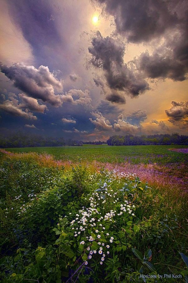 душевные пейзажи