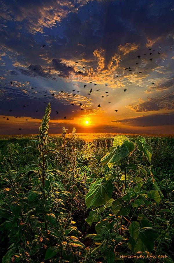 закат красивый