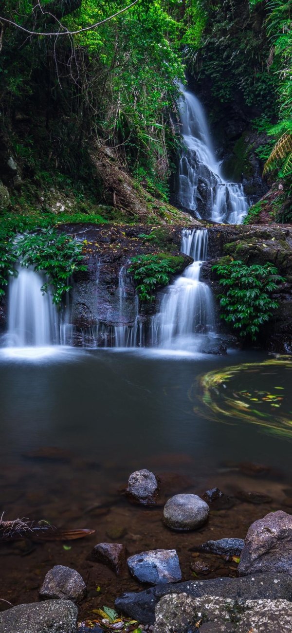национальный парк ламингтон