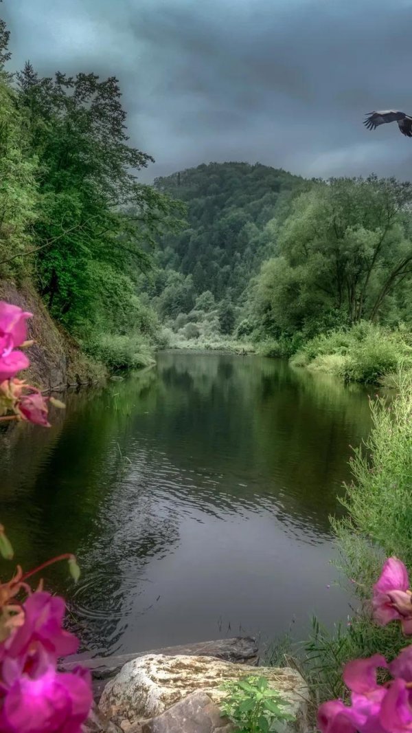 красота природа