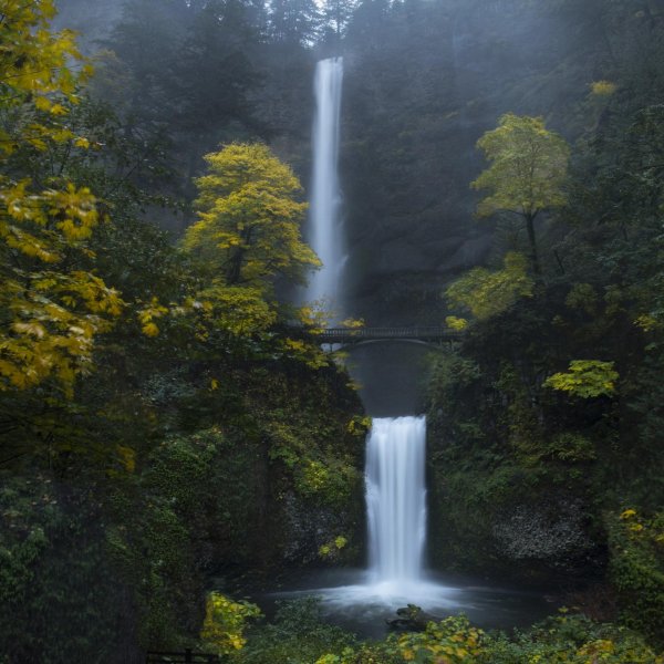 multnomah falls