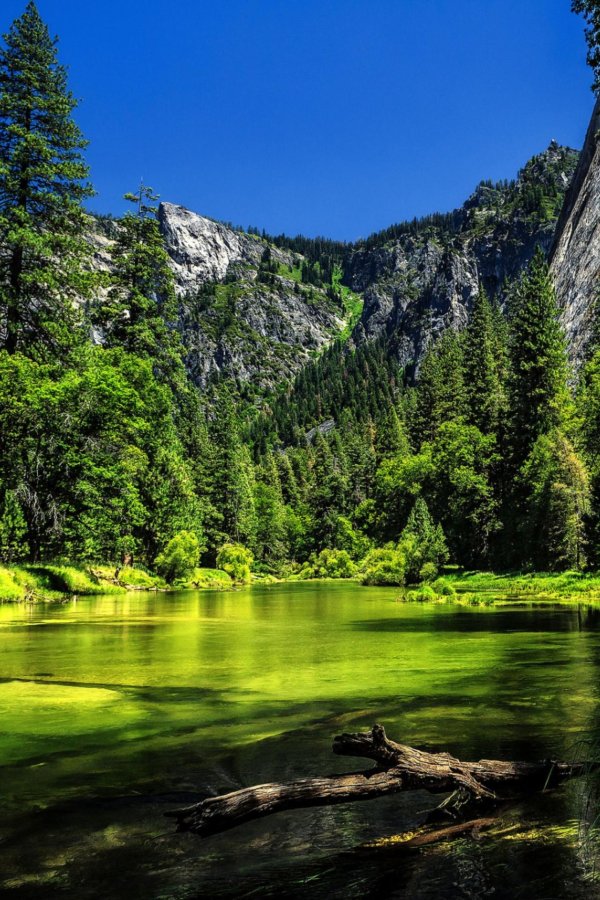 национальный парк йосемити калифорния