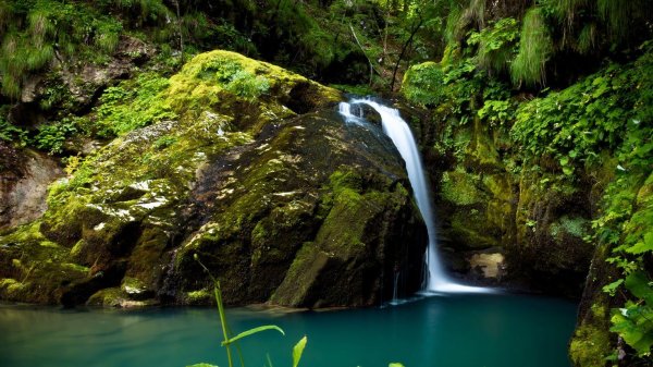 водопад в лесу