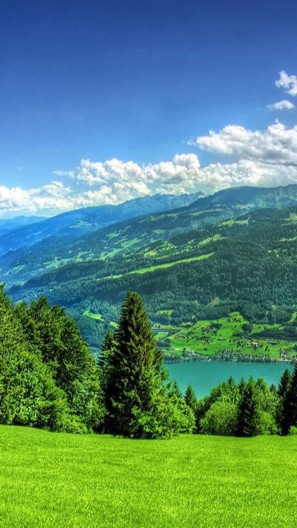 фон природа