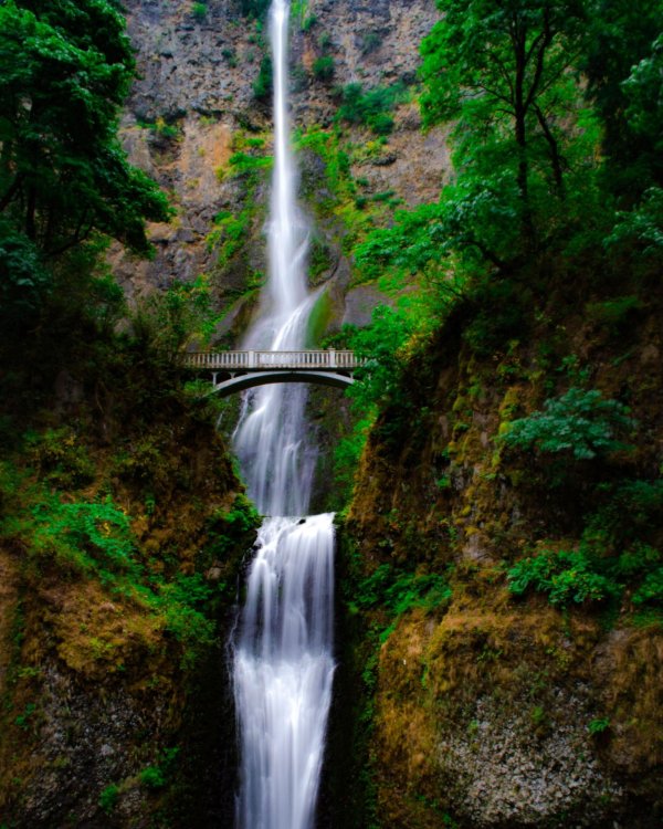 multnomah falls