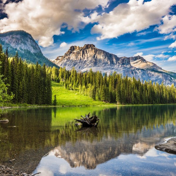 национальный парк джаспер альберта канада