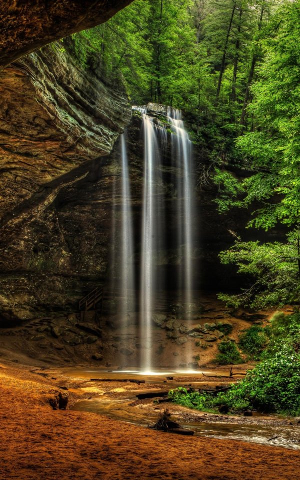 природа вертикальные