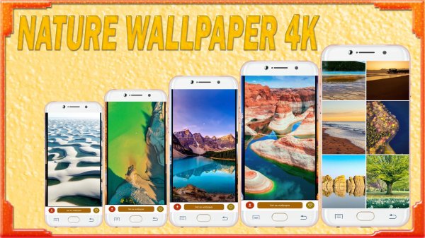 приложение о природе