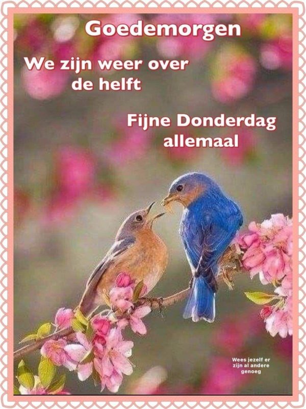 Природа птицы