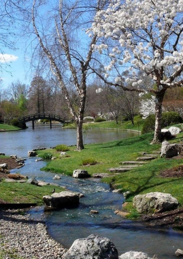 весенние пейзажи