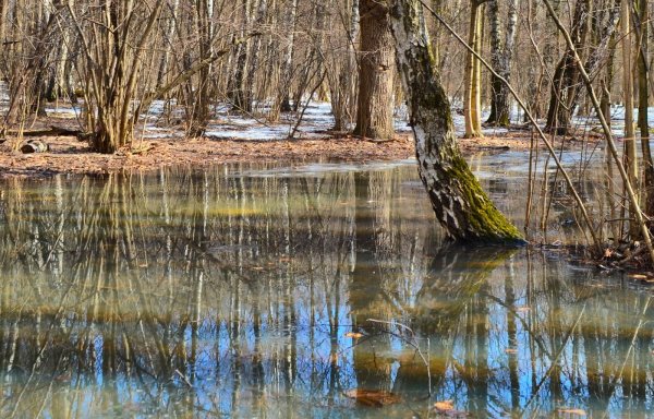 весеннее половодье