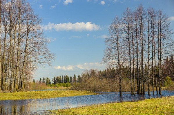 весенние пейзажи
