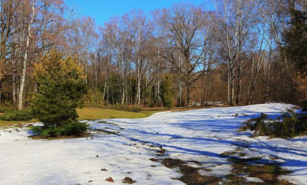 апрельский пейзаж
