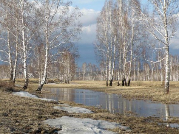 Апрель природа