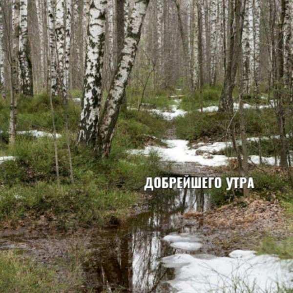 весенний лес