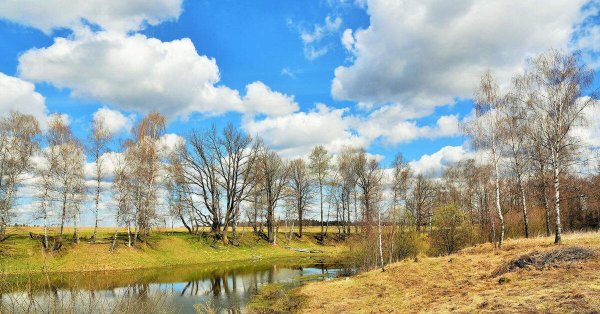 апрельский пейзаж