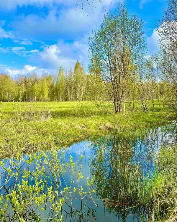 национальный парк лосиный остров