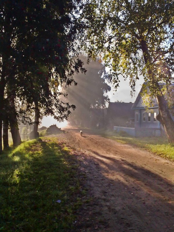 деревенское утро