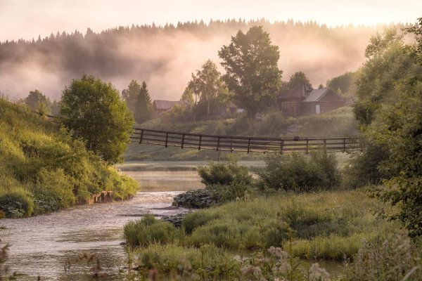 вепсский лес тихвин