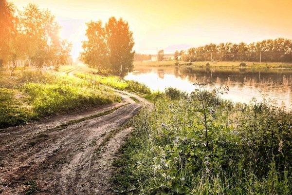 летние пейзажи