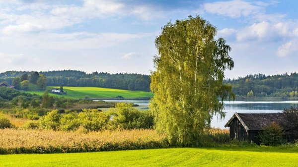 деревенская природа