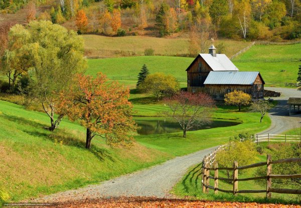 сельская местность